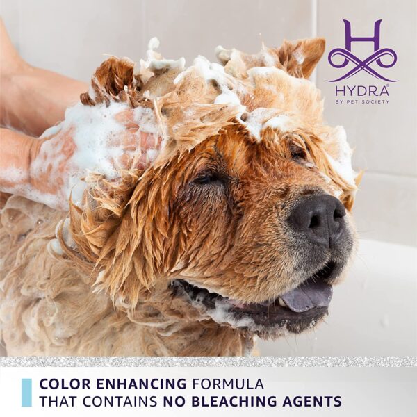 Chow Chow dog being shampooed with Hydra Groomers Whitening Shampoo – color enhancing formula with no bleaching agents by Pet Society India