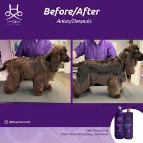 Hydra Groomers Flash Thermo Active Deep Conditioner for Dogs & Cats – 90-Second Salon-Grade Conditioning Treatment (900 g)