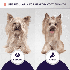 Before and after results of Hydra Groomers Moisturizing Conditioner on Yorkshire Terrier – shiny healthy coat growth transformation