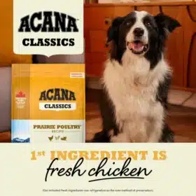 Acana Classic Prairie Poultry Dry Dog Food – 50% Chicken with Wholesome Grains for All Life Stages - Image 3
