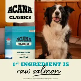 Acana Classic Wild Coast Dry Dog Food – 50% Wild-Caught Fish with Wholesome Grains for All Life Stages - Image 3