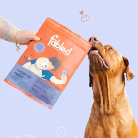 Fabled Eager to Meat Grain-Free Adult Dry Dog Food – Fresh Chicken, Turkey & Duck for All Breed Adult Dogs - Image 3