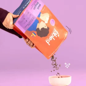 Fabled Well Begun Grain-Free Starter Dry Dog Food – Fresh Chicken, Turkey & Duck for All Breed Puppies Up to 3 Months - Image 3