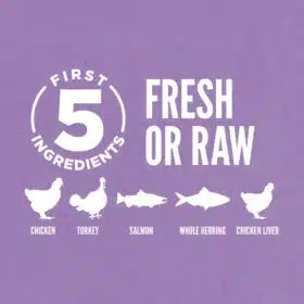 Orijen Kitten Grain-Free Dry Cat Food – 90% Animal Ingredients for Brain, Muscle & Healthy Growth - Image 3