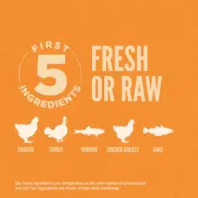 Orijen Original Grain-Free Dry Cat Food – High-Protein WholePrey Nutrition for Cats and Kittens - Image 3