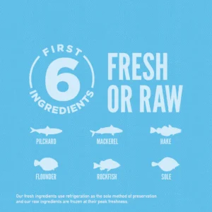 Orijen Six Fish Grain-Free & Poultry-Free Dry Dog Food – 85% Wild-Caught Fish for All Life Stages - Image 3