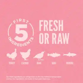 Orijen Small Breed Grain-Free Dry Dog Food – High-Protein WholePrey Nutrition for Small Dogs - Image 4