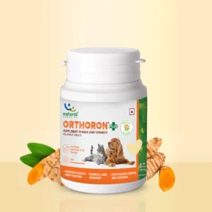 Orthoron Joint Support Tablet for Dogs & Cats – Turmacin-Based Supplement for Mobility, Stiffness & Cartilage Health (28 Tablets)
