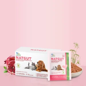 Natgut Natural Digestive Supplement for Dogs & Cats – Herbal Gut Health Granules for Diarrhea Relief & Gut Immunity (30 Sachets)