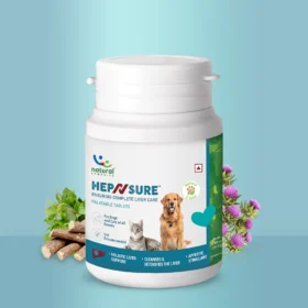 HepNSure Natural Liver Care Tablet for Dogs & Cats – Advanced Hepatoprotective Supplement with CoQ10, Milk Thistle, Licorice & Tulsi (24 Tablets)