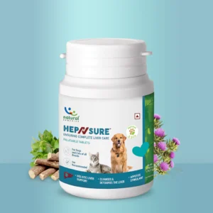 HepNSure Natural Liver Care Tablet for Dogs & Cats – Advanced Hepatoprotective Supplement with CoQ10, Milk Thistle, Licorice & Tulsi (24 Tablets)