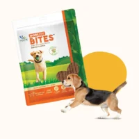 Natural Mobility Bites for Dogs – Joint Support Soft Chews