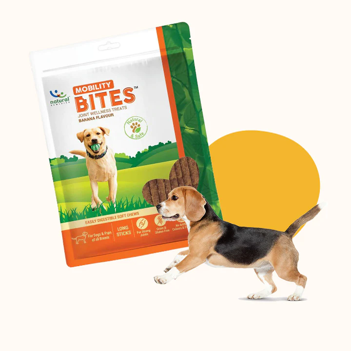 Natural Mobility Bites for Dogs – Joint Support Soft Chews