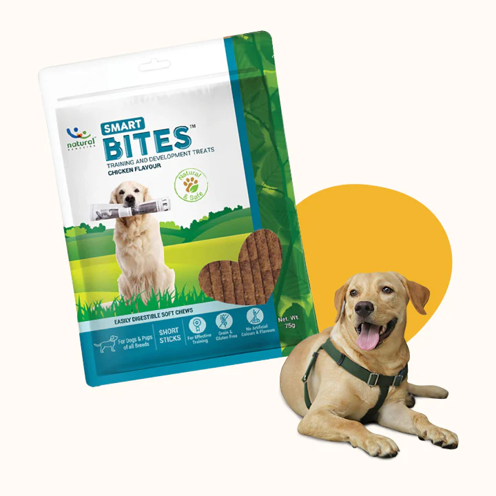 Natural Smart Bites for Dogs – Brain Health Soft Chews
