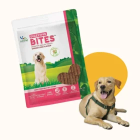 Natural Digestive Bites for Dogs – Gut Health Soft Chews