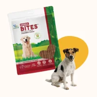 Natural Derma Bites for Dogs – Skin & Coat Support Soft Chews