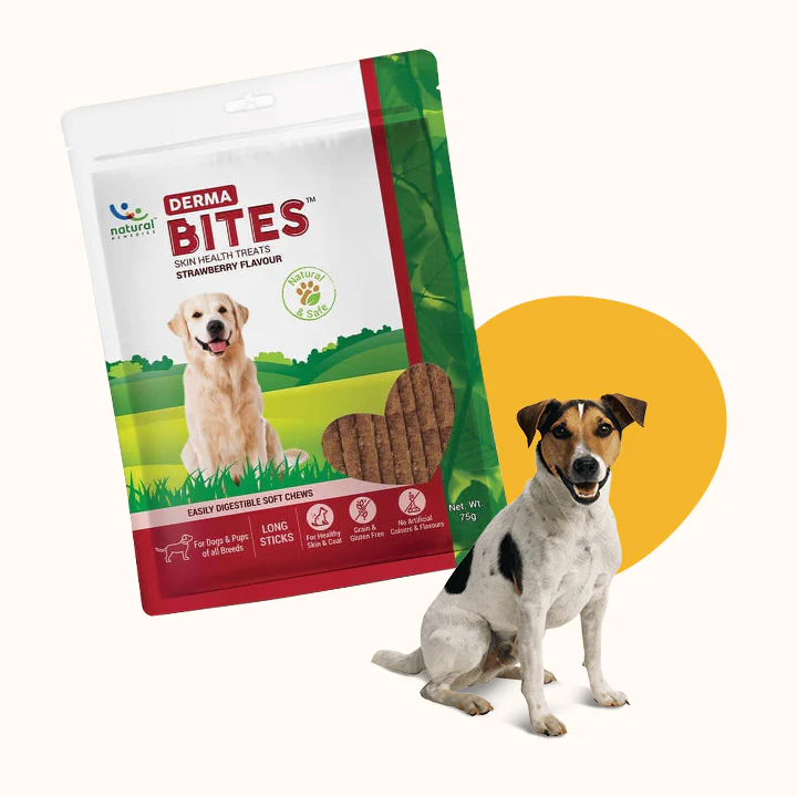 Natural Derma Bites for Dogs – Skin & Coat Support Soft Chews