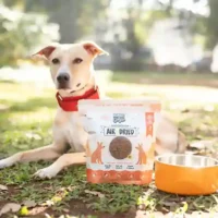 Homiee & Ginger Air-Dried Dog Food – 90% Meat Grain-Free Dry Food 907g (Puppy & Adult)