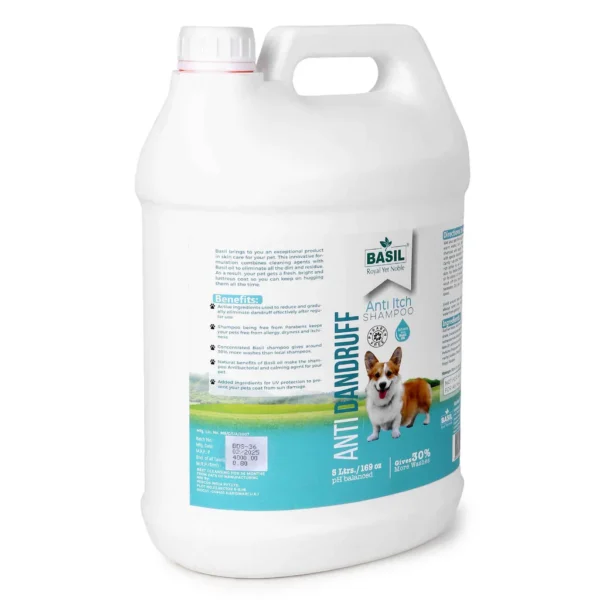 BASIL Anti-Dandruff & Anti-Itch Shampoo for Dogs & Cats – 5L Gallon, Soothing & Moisturizing Formula for Healthy Skin & Flake-Free Coat