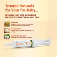 Orthoron Plus Paste for Dogs & Cats – Advanced Triple-Action Joint Care with Turmacin, PEA & Type II Collagen (60ml) - Image 2