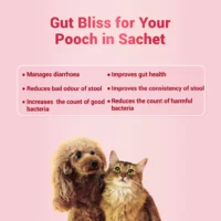 Natgut Natural Digestive Supplement for Dogs & Cats – Herbal Gut Health Granules for Diarrhea Relief & Gut Immunity (30 Sachets) - Image 2