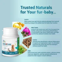 HepNSure Natural Liver Care Tablet for Dogs & Cats – Advanced Hepatoprotective Supplement with CoQ10, Milk Thistle, Licorice & Tulsi (24 Tablets) - Image 2