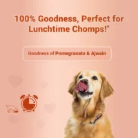 Treat O'Clock Chicken & Egg Dog Treats – High Protein Snacks - Image 2
