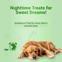 Treat O'Clock Hemp & Tulsi Calming Dog Treats - Image 2