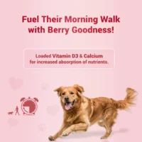 Treat O'Clock Strawberry & Chicken Dog Treats – Energy Booster - Image 2