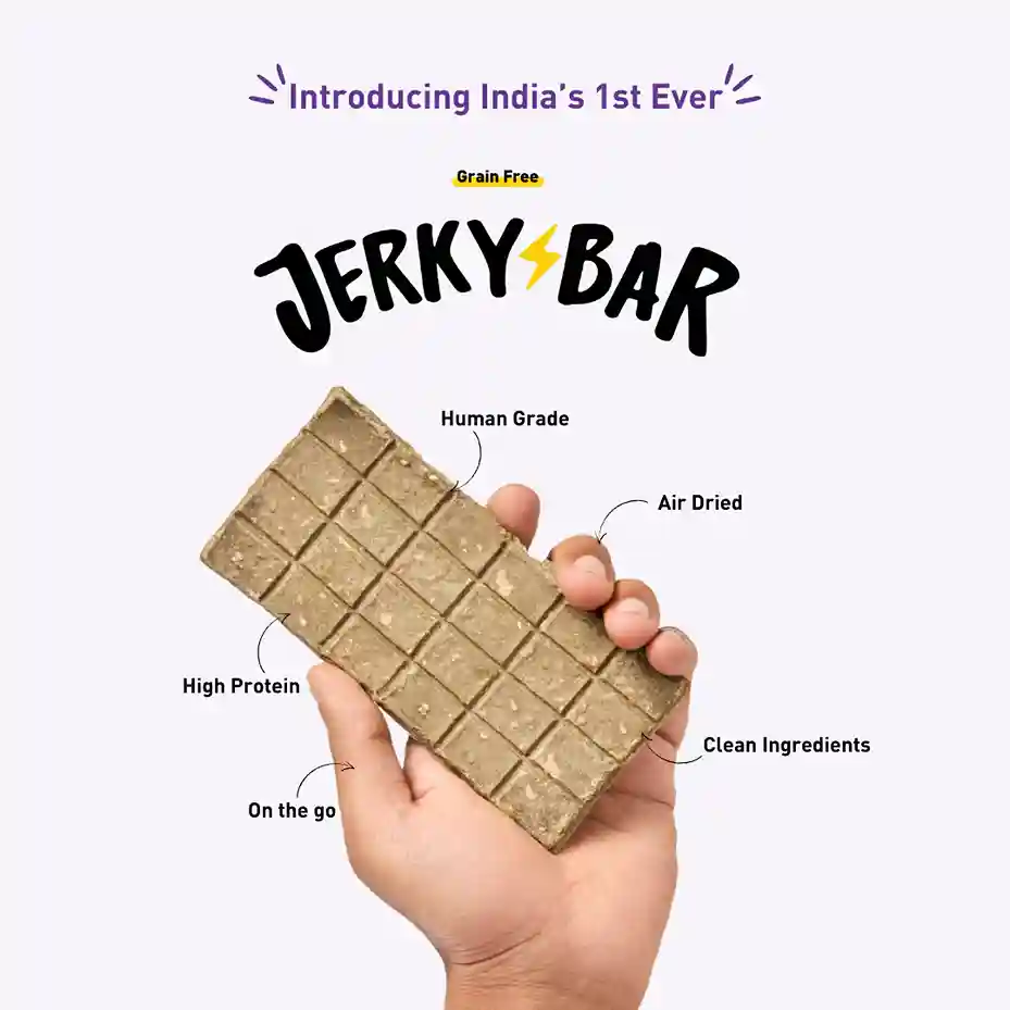 Homiee & Ginger Fish Jerky Bar for Dogs – Air-Dried High Protein Treat 45g