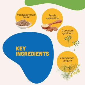 Natural Digestive Bites for Dogs – Gut Health Soft Chews - Image 3