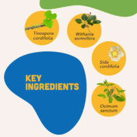 Natural Junior Bites for Puppies – Growth Support Soft Chews - Image 3