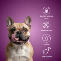 BASIL Chicken Lollipop Treats for Dogs & Puppies – 92g, Guilt-Free High Protein Chewy Snacks for Training, Reward & Dental Engagement - Image 3