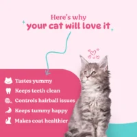 BASIL Purrfect Dental Stick for Cats & Kittens – Tuna & Chicken Flavor, 44g, Oral Care Treats for Teeth Cleaning & Fresh Breath - Image 3