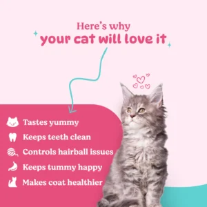 BASIL Purrfect Dental Stick for Cats & Kittens – Tuna & Chicken Flavor, 44g, Oral Care Treats for Teeth Cleaning & Fresh Breath - Image 3