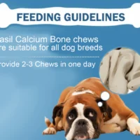 BASIL Calcium Bone Treats for Dogs & Puppies – 100g, Chewy Nutritional Snacks for Strong Bones, Teeth Support & Daily Reward - Image 3