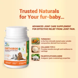 Orthoron Joint Support Tablet for Dogs & Cats – Turmacin-Based Supplement for Mobility, Stiffness & Cartilage Health (28 Tablets) - Image 3