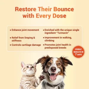 Orthoron Plus Paste for Dogs & Cats – Advanced Triple-Action Joint Care with Turmacin, PEA & Type II Collagen (60ml) - Image 3