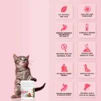 Natgut Natural Digestive Supplement for Dogs & Cats – Herbal Probiotic Tablet for Diarrhea, Loose Stools & Gut Health (20 Tablets) - Image 3