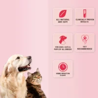 Natgut Natural Digestive Supplement for Dogs & Cats – Herbal Gut Health Granules for Diarrhea Relief & Gut Immunity (30 Sachets) - Image 3