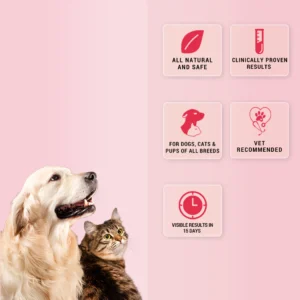 Natgut Natural Digestive Supplement for Dogs & Cats – Herbal Gut Health Granules for Diarrhea Relief & Gut Immunity (30 Sachets) - Image 3