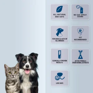 Reliflam Itch Relief Spray for Dogs & Cats – 75ml - Image 3
