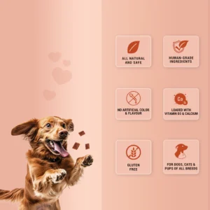 Treat O'Clock Chicken & Egg Dog Treats – High Protein Snacks - Image 3