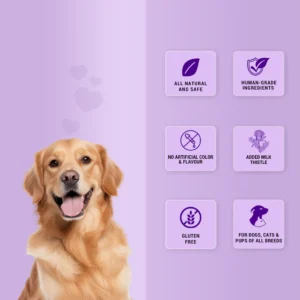 Treat O'Clock Chicken & Rice Dog Treats – High Protein Snacks - Image 3