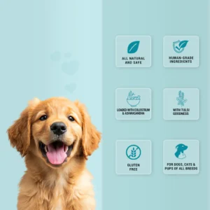 Treat O'Clock Milk & Chicken Dog Treats – Calcium Rich Snacks - Image 3