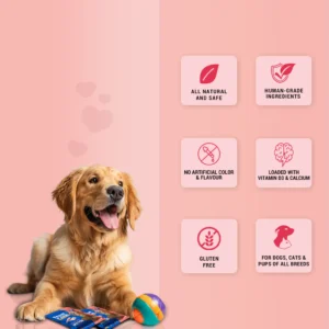 Treat O'Clock Mutton Dog Treats for Brain Health - Image 3