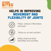 Natural Mobility Bites for Dogs – Joint Support Soft Chews - Image 3