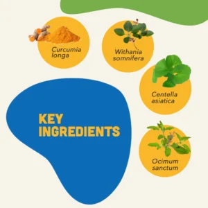 Natural Smart Bites for Dogs – Brain Health Soft Chews - Image 3