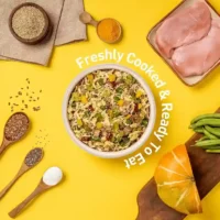 Homiee & Ginger Power Bowl Chicken & Quinoa Dog Food – Gluten-Free Fresh Meal 200g