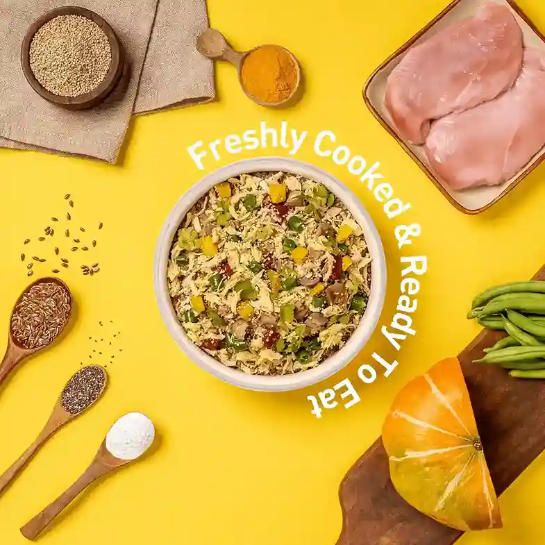 Homiee & Ginger Power Bowl Chicken & Quinoa Dog Food – Gluten-Free Fresh Meal 200g